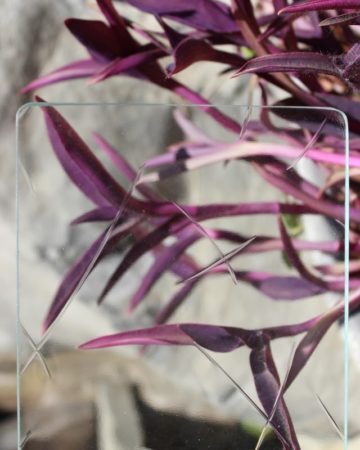 gusantik-svetli-4mm-07